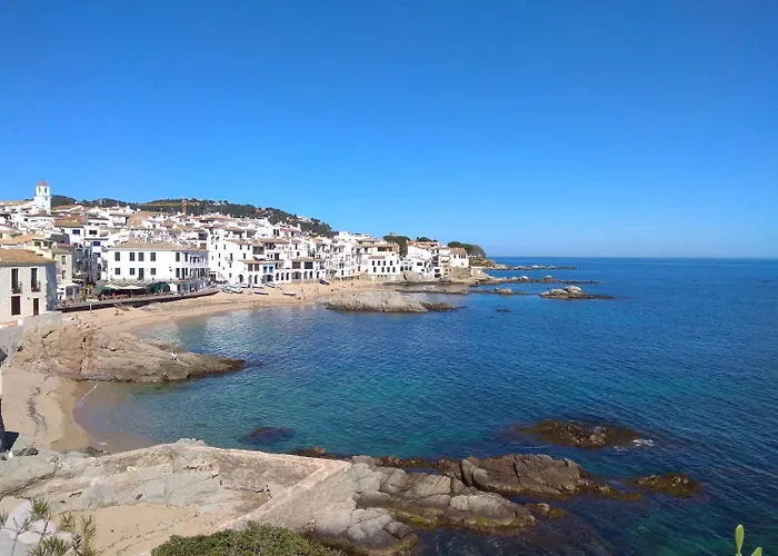 Hotel que admite mascotas: Hotel Mediterrani